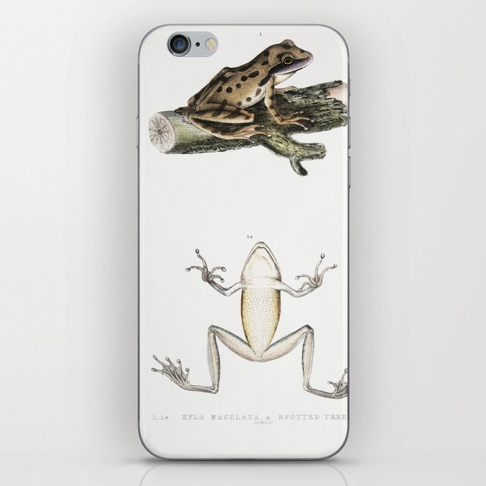 Spotted Tree Frog & Bengal Frog iPhone Skin