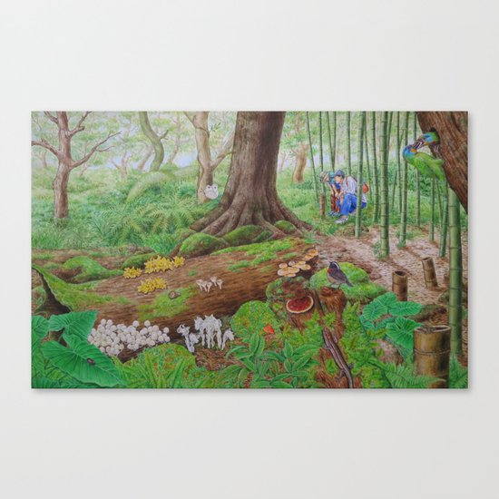 A Day of Forest (5). (dead wood ecosystem) Canvas Print