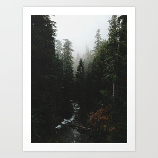 Rainier Creek Art Print