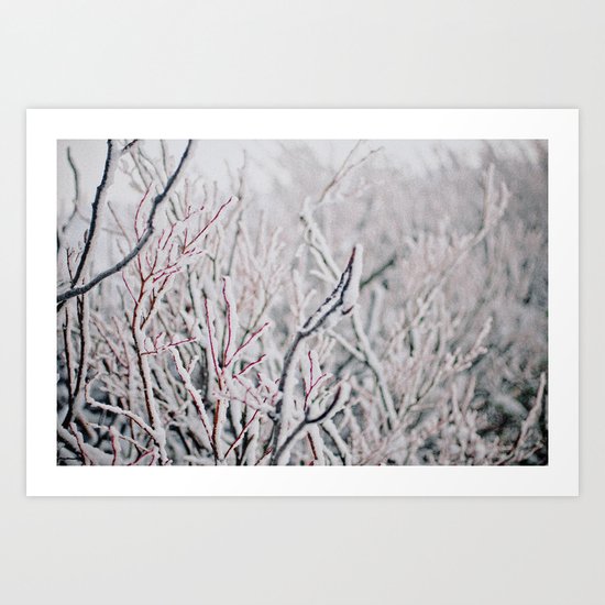 Winter Snow Art Print