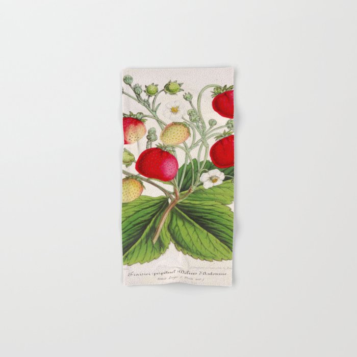 Strawberry Delights Vintage Botanical Floral Flower Plant Scientific Illustration Hand & Bath Towel