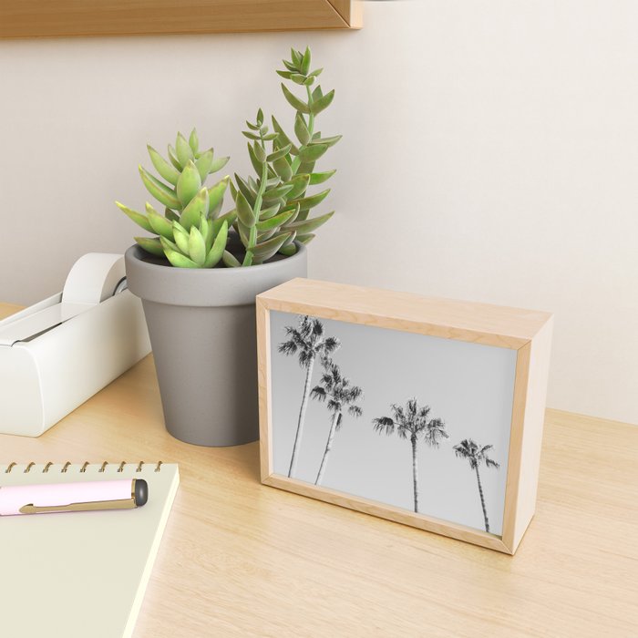 Black Palms Monotone Gray Beach Photography Vintage Palm Tree