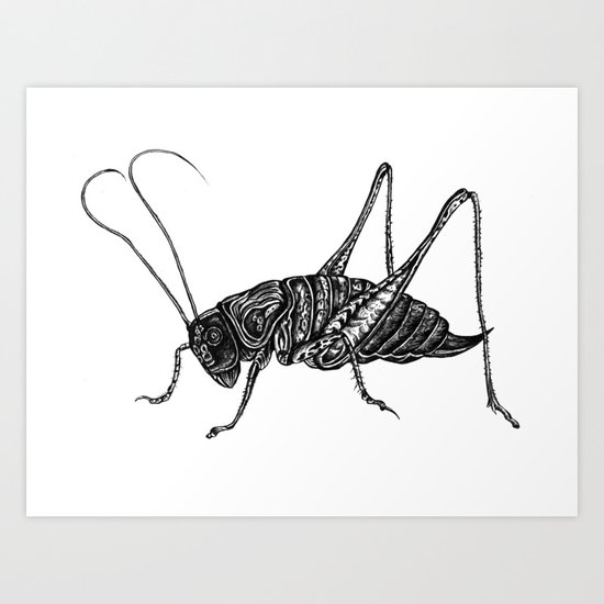 Grasshopper Art Print