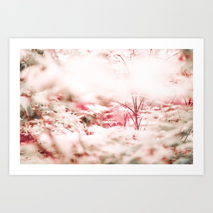 Japanese Maple Tree - Dreamy Pink White Tree - Nature Photography Art Print