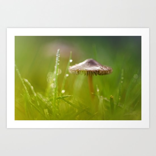 Mesmerizing Mushroom.... Art Print