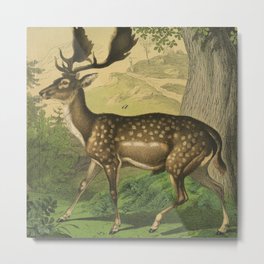 Deer Metal Print | Landscape, Animal, Nature, Vintage 