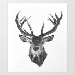 Elk Antler Black and White Sketch Art Print