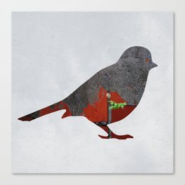 Little Garden Bird Canvas Print