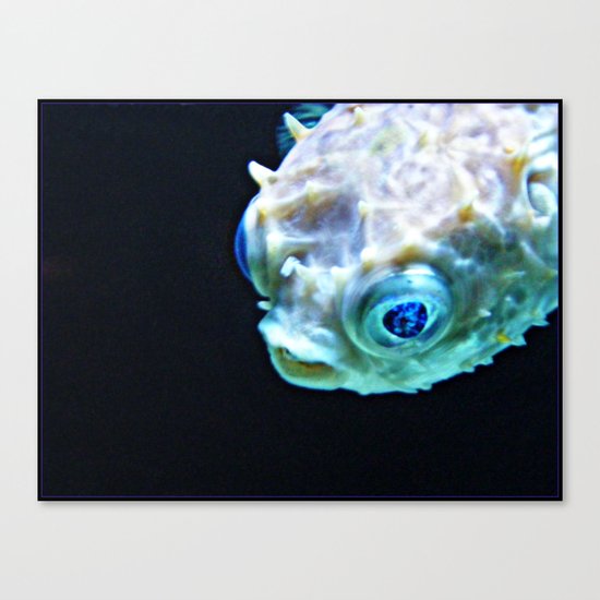 Puff Canvas Print