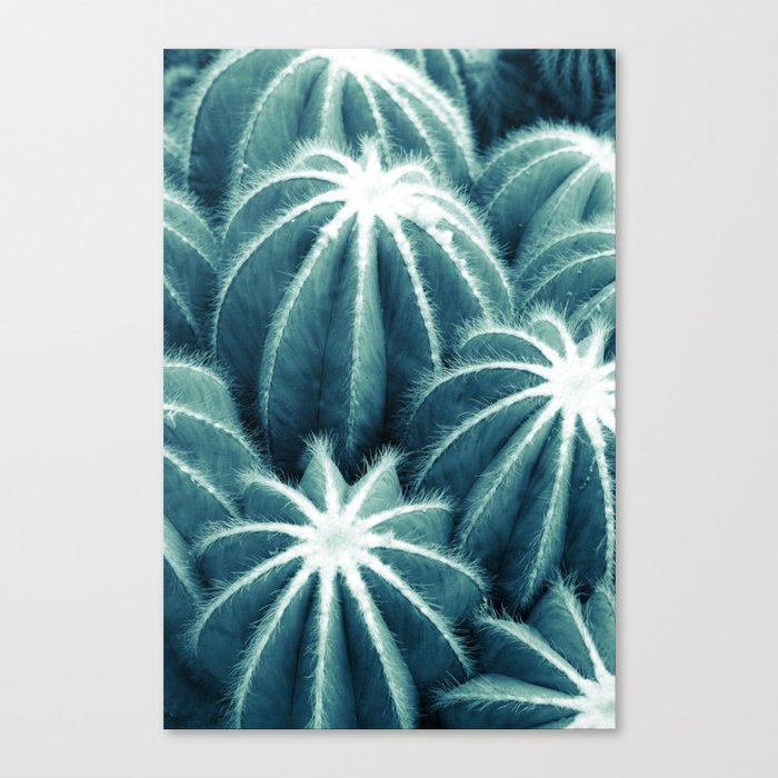 Cacti Vibes #1 #botanical #decor #art #society6 Canvas Print