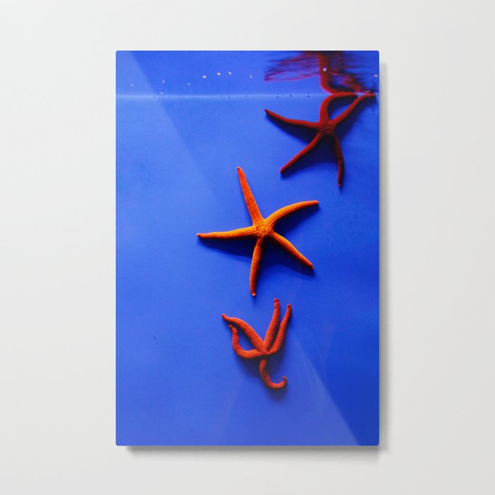 WaterStars Metal Print