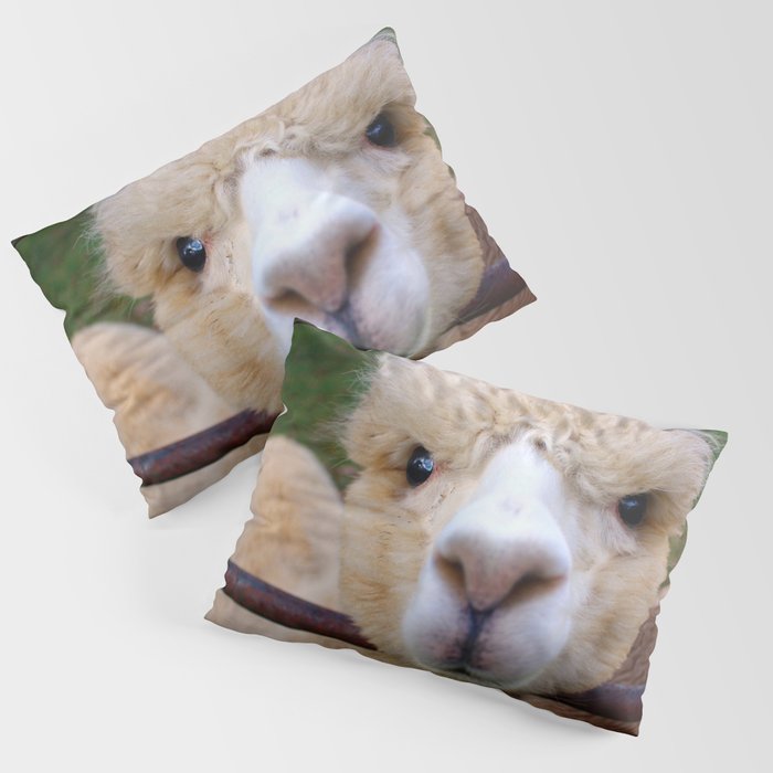 Alpaca Gaze Pillow Sham