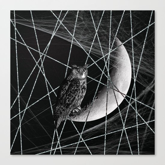 Moon owl Canvas Print