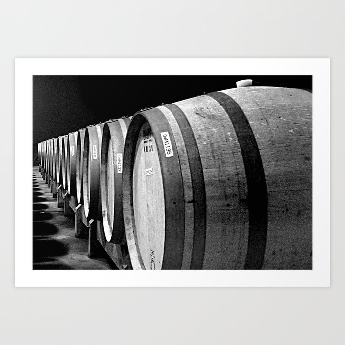 Vineyard wine oak barrels wine cellar black and white photograph - photography - photographs Art Print