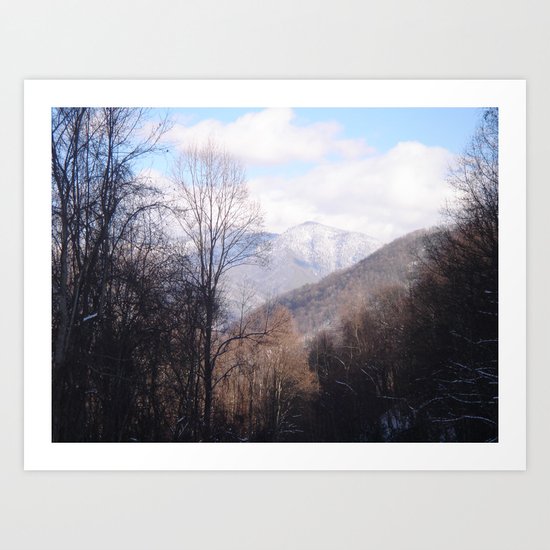 Laurel Falls Trail Art Print
