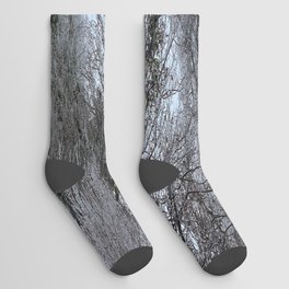 Winter Trail Socks