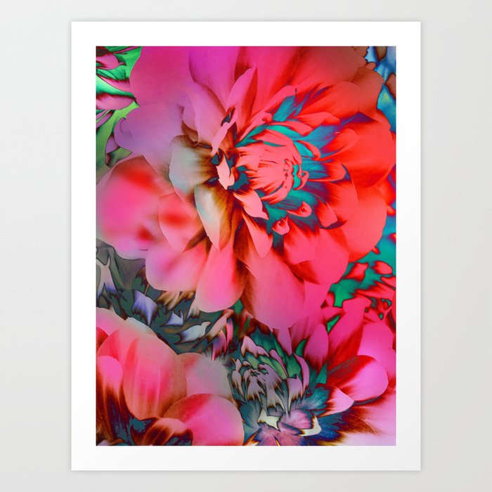 Proud Dahlias 2 Art Print