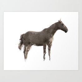 Lonely Horse Art Print