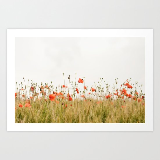 Poppies Coquelicots Art Print