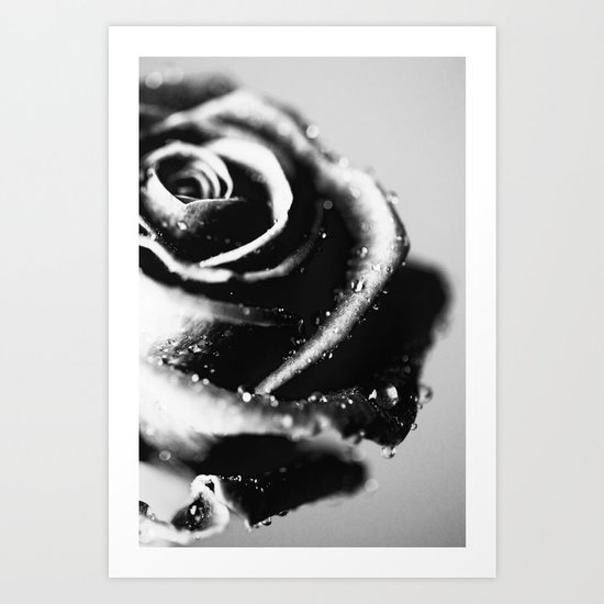 Rose BW Art Print