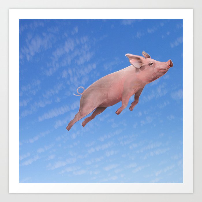Flying pig Art Print
