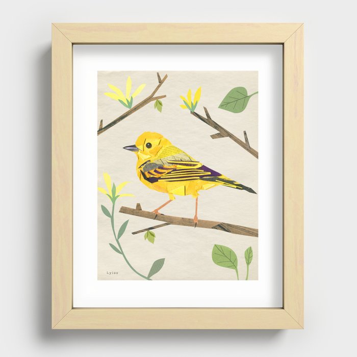 Yellow Warbler Recessed Framed Print