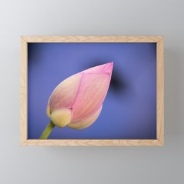 LOTUS FLOWER Framed Mini Art Print