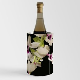 Calanthe rosea Orchid Wine Chiller
