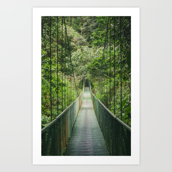 Hanging Bridge in the Cloud Forest Art Print