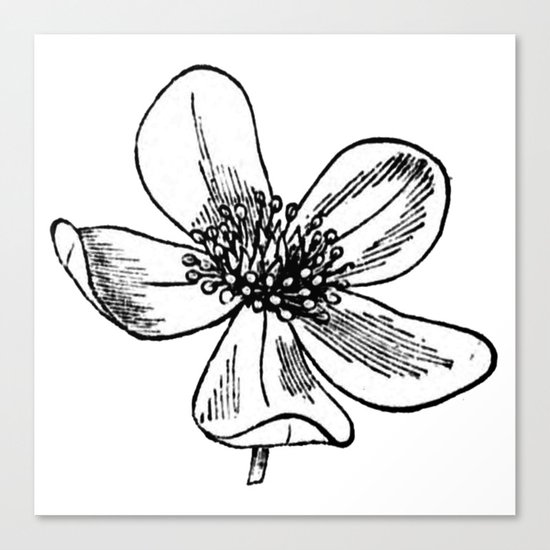Flower Canvas Print