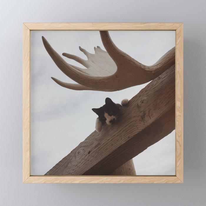 South Dakota Kitty Framed Mini Art Print