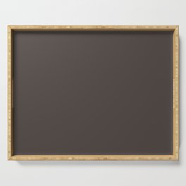 Dark Gray Brown Solid Color Pantone Black Olive 19-0608 TCX Shades of Black Hues Serving Tray