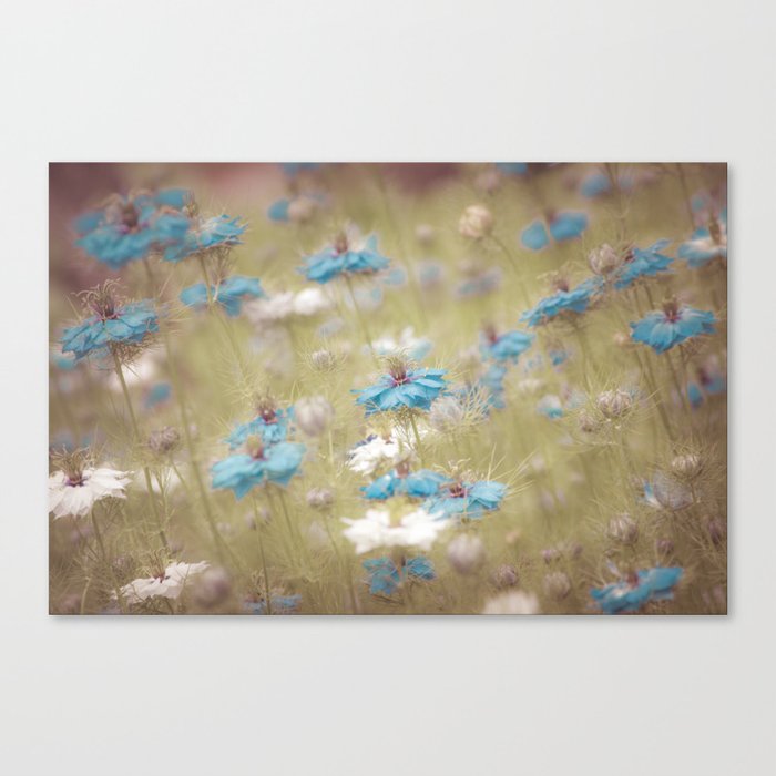 In the Mist floral art and decor Canvas Print