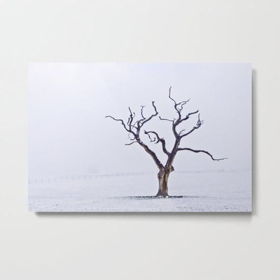 Tree in the Mist Metal Print