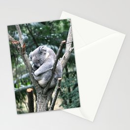 Snoozing Koala Stationery Cards