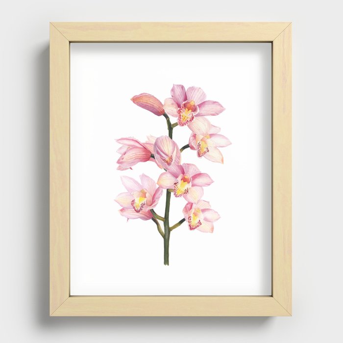 The Orchid, A Realistic Botanical Watercolor Painting Recessed Framed Print