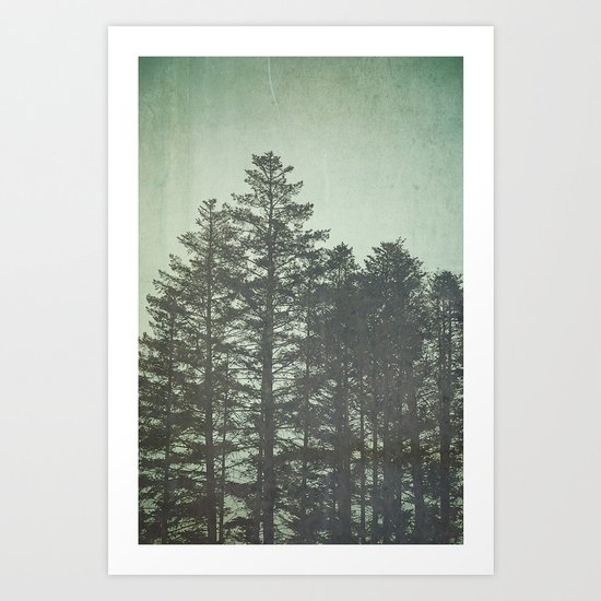 Trees in Fog Art Print