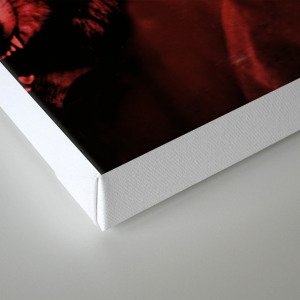 Wolf At Your Door Canvas Print