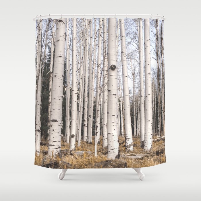 Trees of Reason - Birch Forest Shower Curtain