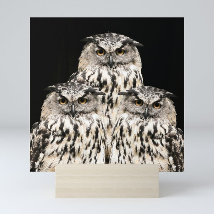 Three Wise Owls on Black Background #decor #society6 #buyart Mini Art Print