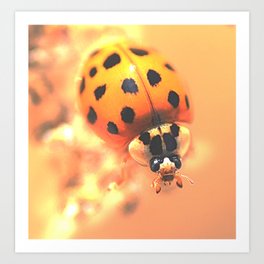 Ladybug of Light Art Print