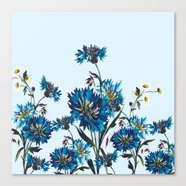 Cornflower Blossoms Meadow  Canvas Print