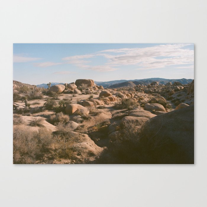 Joshua Tree Canvas Print