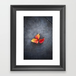 Red Leaves of Fall Framed Art Print