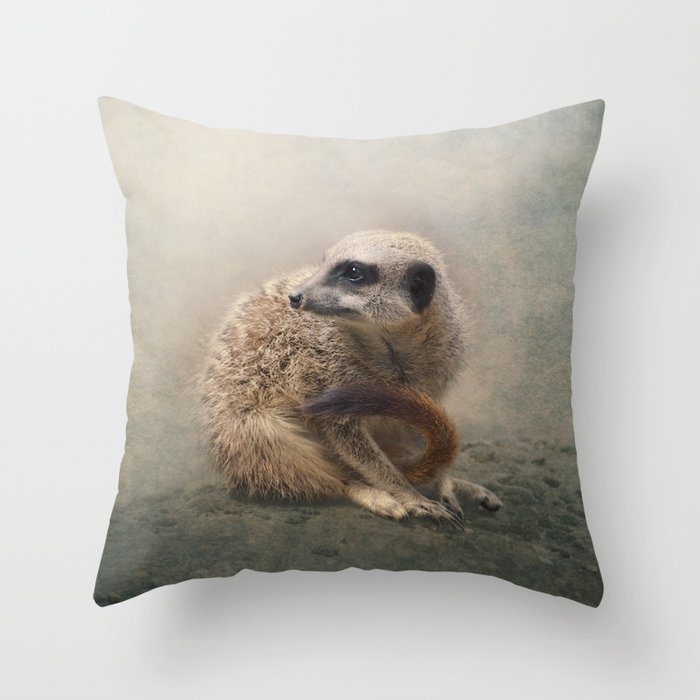Study Of A Young Meerkat Throw Pillow By Polly470 Society6