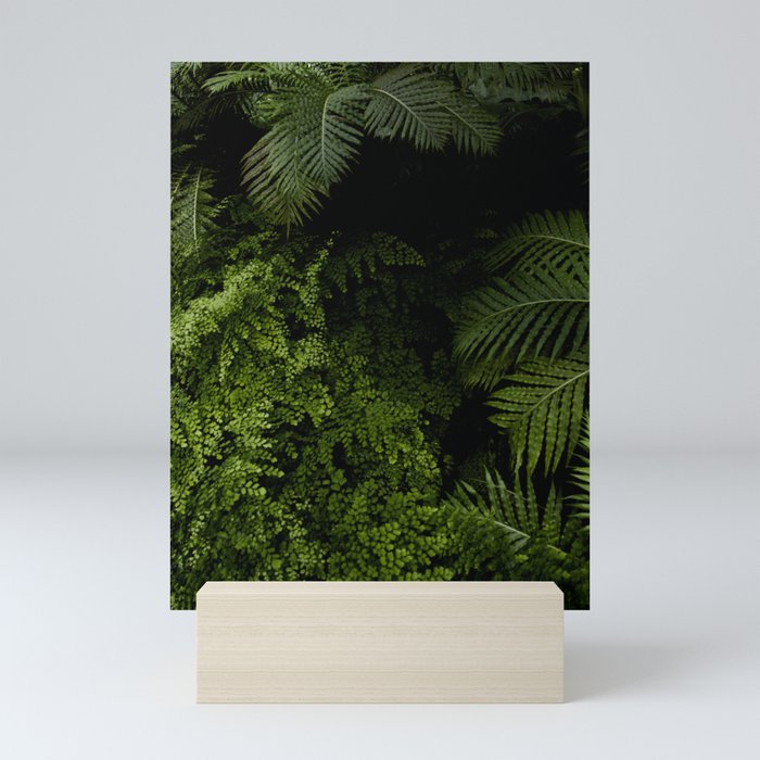 Tropical jungle. Mini Art Print