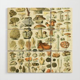 Vintage French Illustration - Champignons - Mushrooms  Wood Wall Art