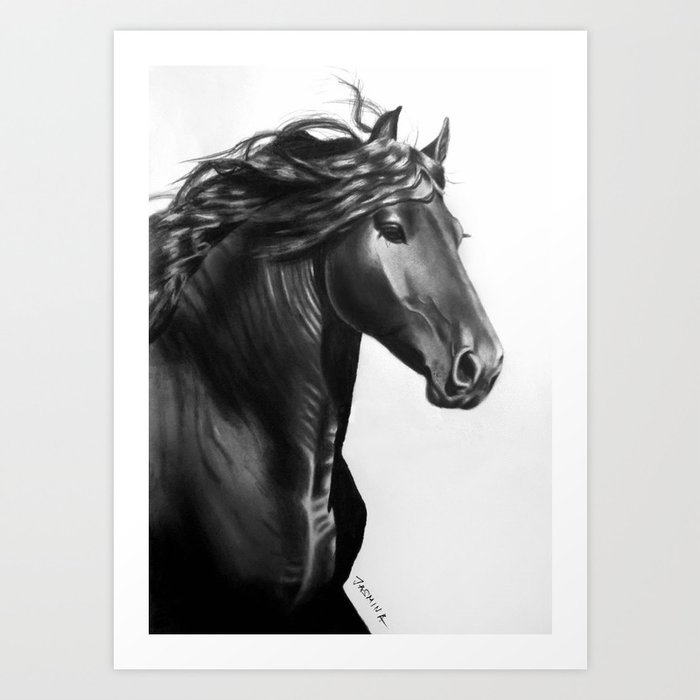 A Beautiful Friesian Horse - Pencil Drawing Art Print by JasminaSusak ...