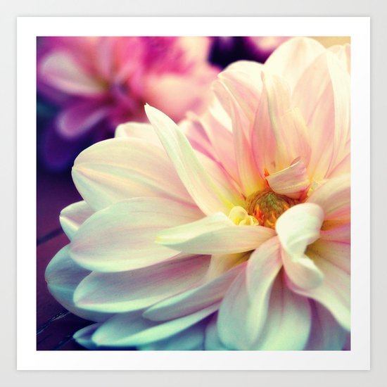 a beautiful white Art Print