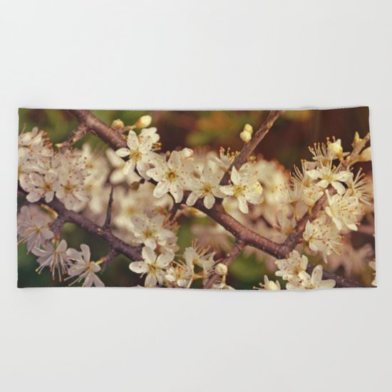 Sunny White Cherry Blossom Beach Towel